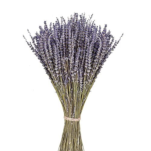 Dried Lavender Flowers