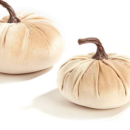 Velvet Pumpkins (Set of 2)