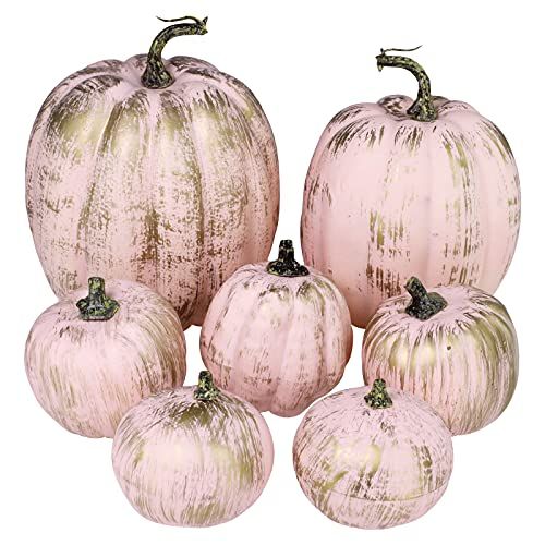 Winlyn Gold Brushed Pink Pumpkins